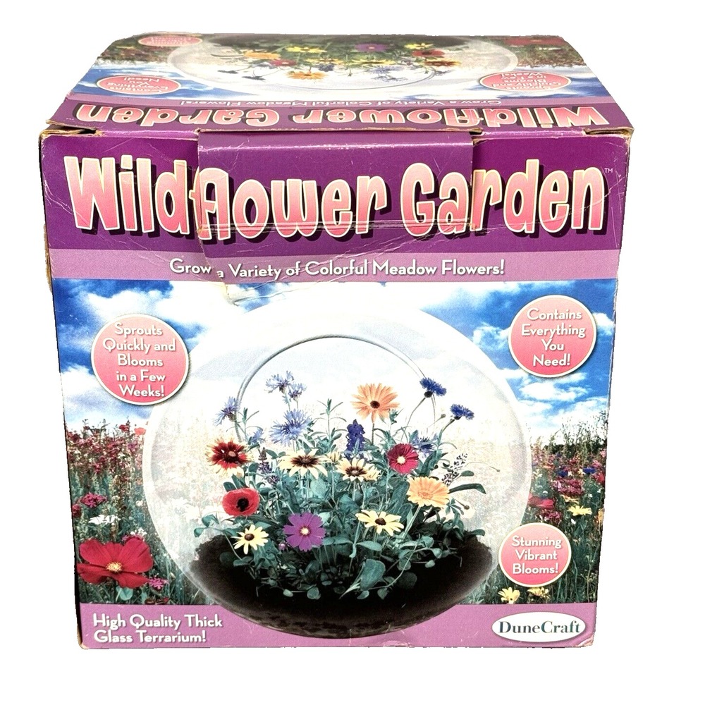 2017 DuneCraft WILDFLOWER GARDEN Glass Terrarium Kit Grow Flowers DIY
